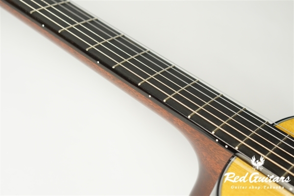 00-Nylon w/FISHMAN Matrix VT Enhance